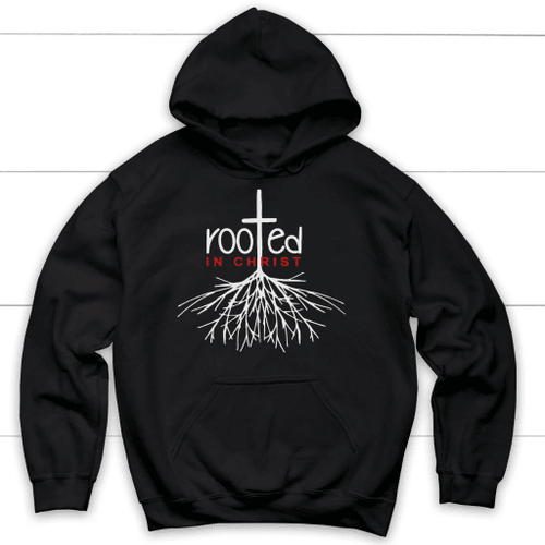 Rooted in Christ hoodie - Christian hoodies - Christian Shirt, Bible Shirt, Jesus Shirt, Faith Shirt For Men and Women