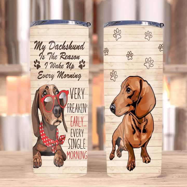 Dog Tumblers, Dachshund Tumbler, Gifts For Dog Lover, My Dachshund Is The Reason I Wake Up Skinny Tumbler - Spreadstores