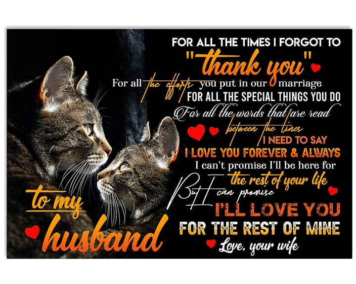 Gift For Husband, To My Husband For All The Times I Forgot To Thank You For All The Efforts Couple Cat Canvas - Spreadstores