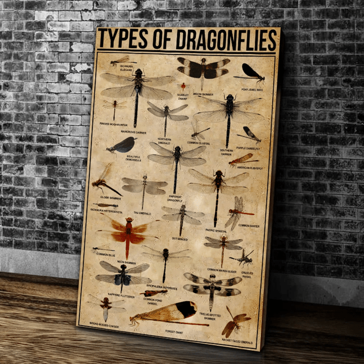 Types Of Dragonflies Matte Canvas - Spreadstores