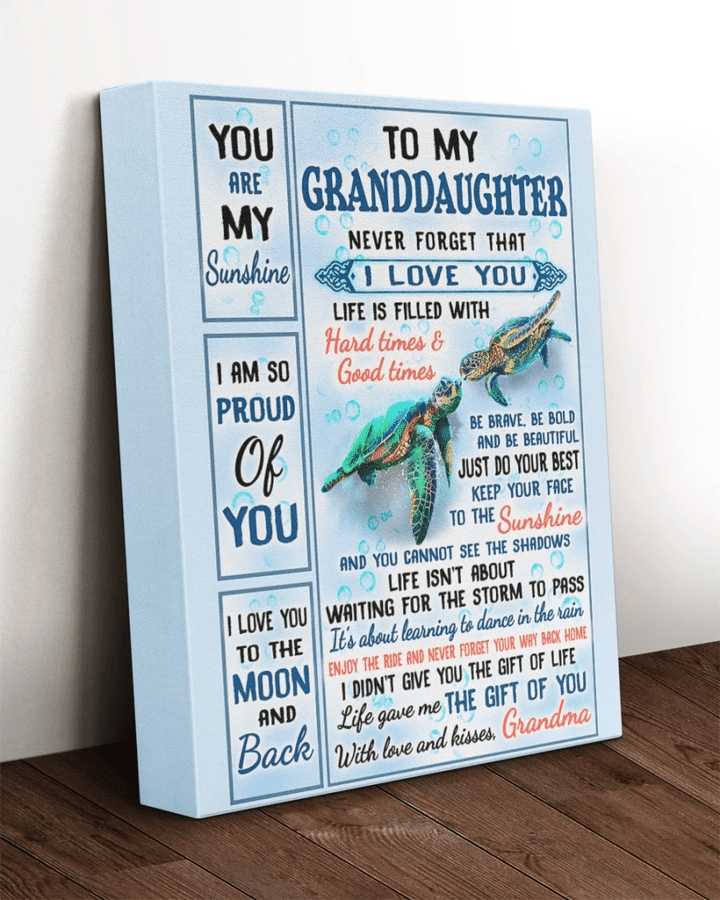 To My Granddaughter Never Forget That I Love You Turtle Canvas - Spreadstores