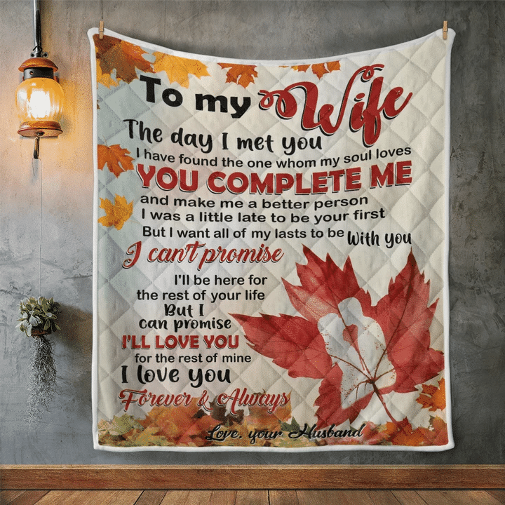 Wife Blanket, Gifts For Her, To My Wife, The Day I Met You I Found The One V2 Quilt Blanket - Spreadstores