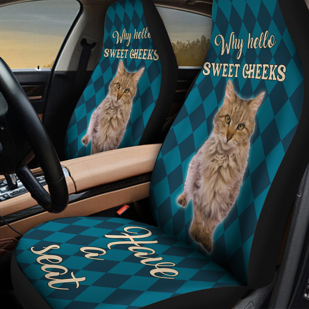 Sweet Cheeks Maine Coon Cat Caro Pattern Car Seat Cover