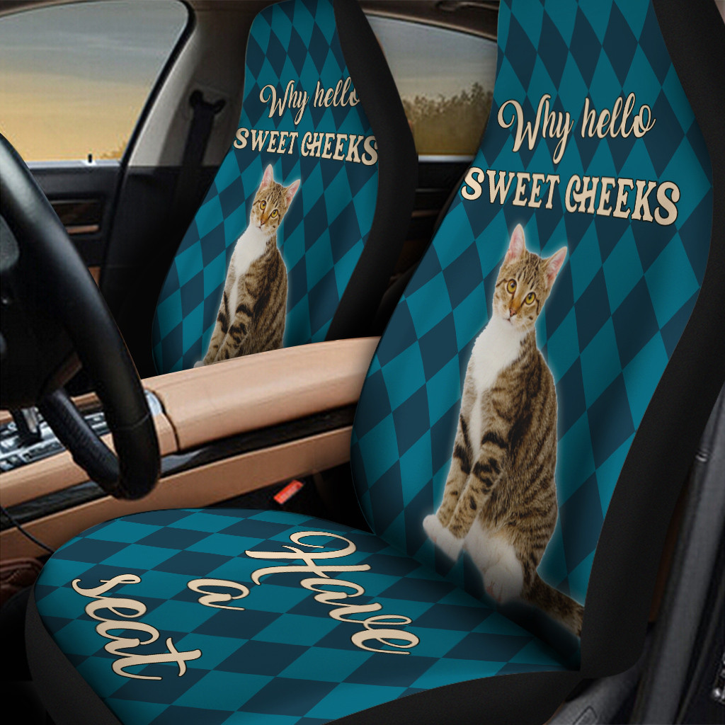 Sweet Cheeks Tabby Cat Caro Pattern Car Seat Cover