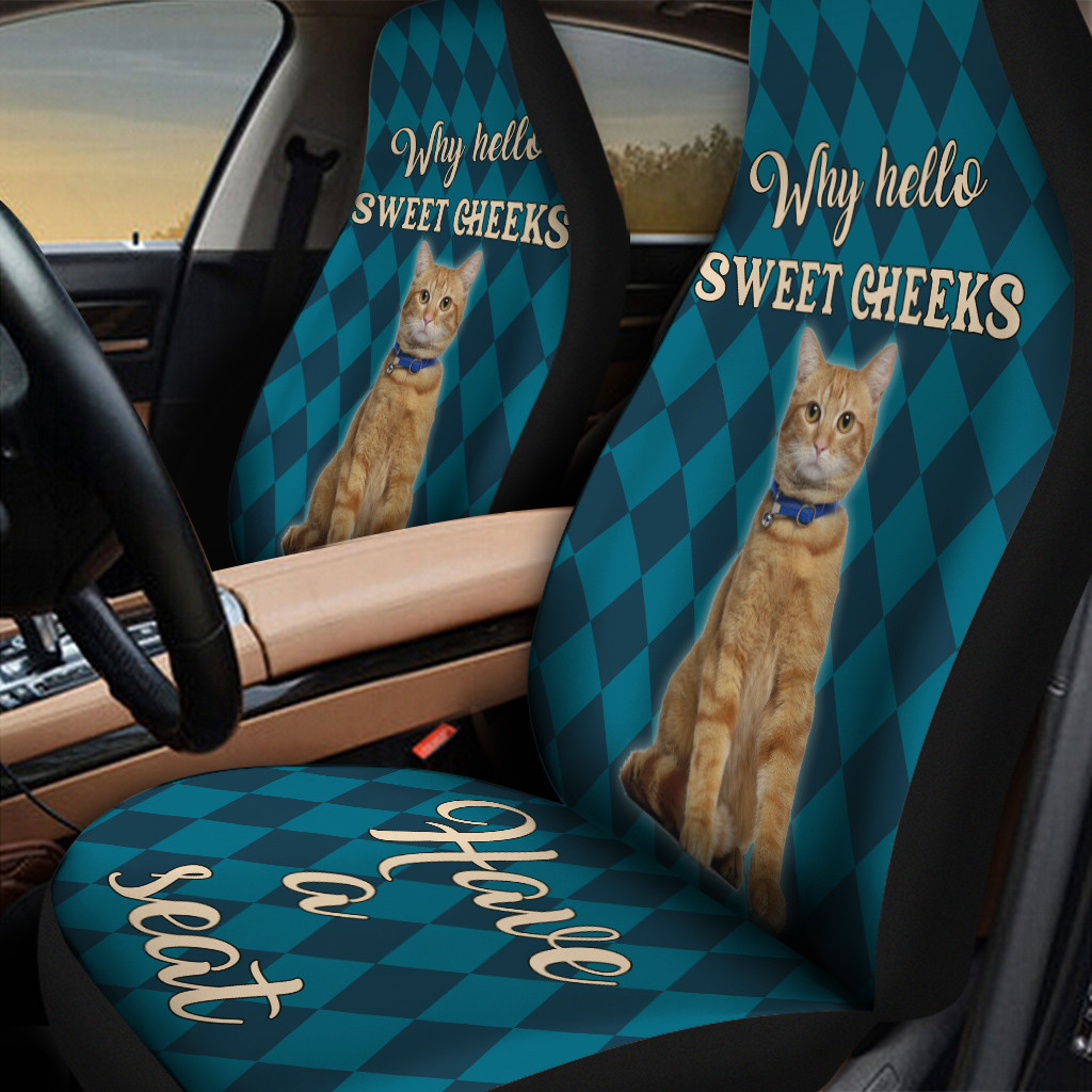 Tabby Cat Sweet Cheeks Caro Pattern Car Seat Cover