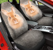 Rabbit In Gray Background Car Seat Cover