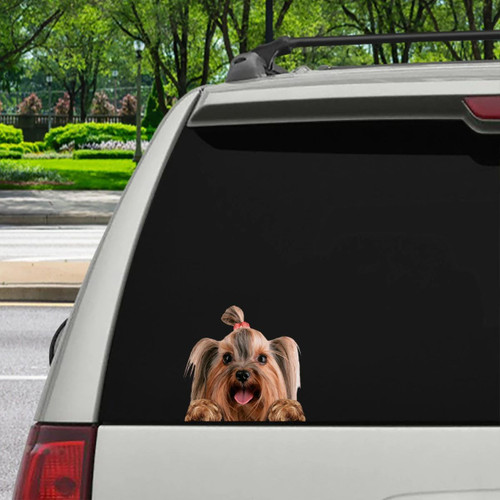Can You See Me Now - Yorkshire Terrier Car Sticker Car Decal