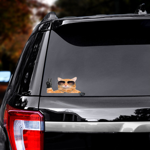 Cat Eyes Glasses Cool Printed Car Sticker Decal