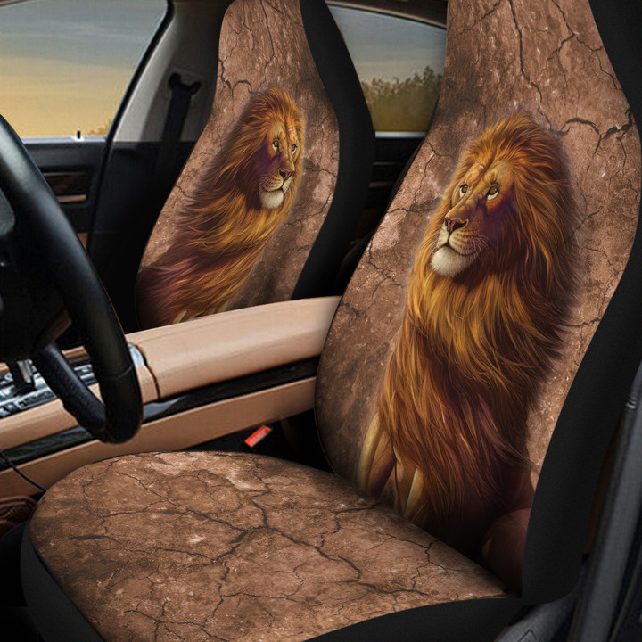 Lion Portrait Crack Pattern Brown Car Seat Cover
