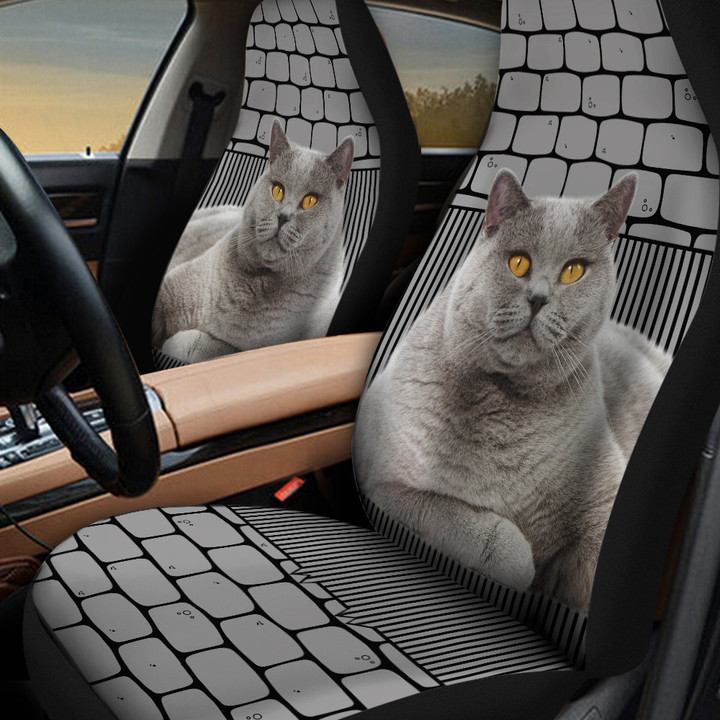 Silverbell Cat With Shapes Pattern In Gray Background Car Seat Cover