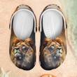 Lion Croc Style Clogs 8