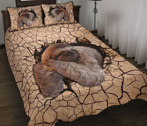 Sloth Earth Crack Style Quilt Bed Set