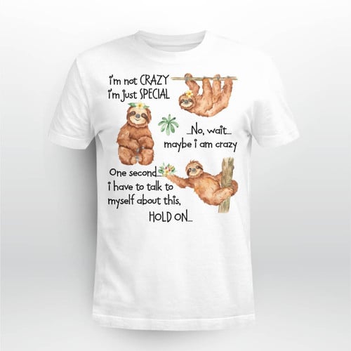 Sloth Funny - Sloth T Shirt, Hoodie, Sweatshirt