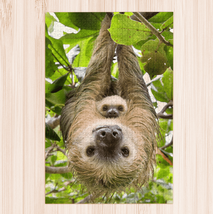 Sloth Mommy And Baby Portrait Puzzle