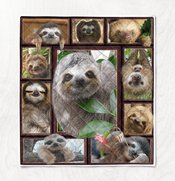 3D Sloth Quilt - Gifts For Sloth Lovers