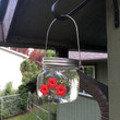 Beautiful Hummingbird Feeder Jar w/Three Ports