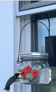 Beautiful Hummingbird Feeder Jar w/Three Ports