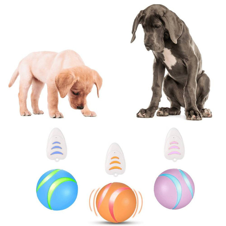 🔥Last Day 50% OFF🔥 Smart ball Dog Toy