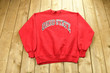 Vintage 90s University Of Ohio State Buckeyes Collegiate Crewneck  Made In Usa  Sportswear  Athleisure  Americana
