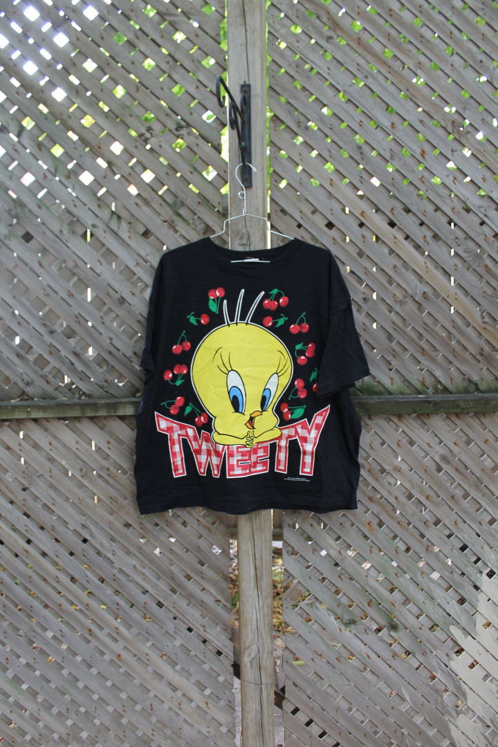 Vintage Looney Tunes  Tweety Bird Graphic T Shirt  Vintage Tee  Ry Graphic Shirt  Warner Bros  90s
