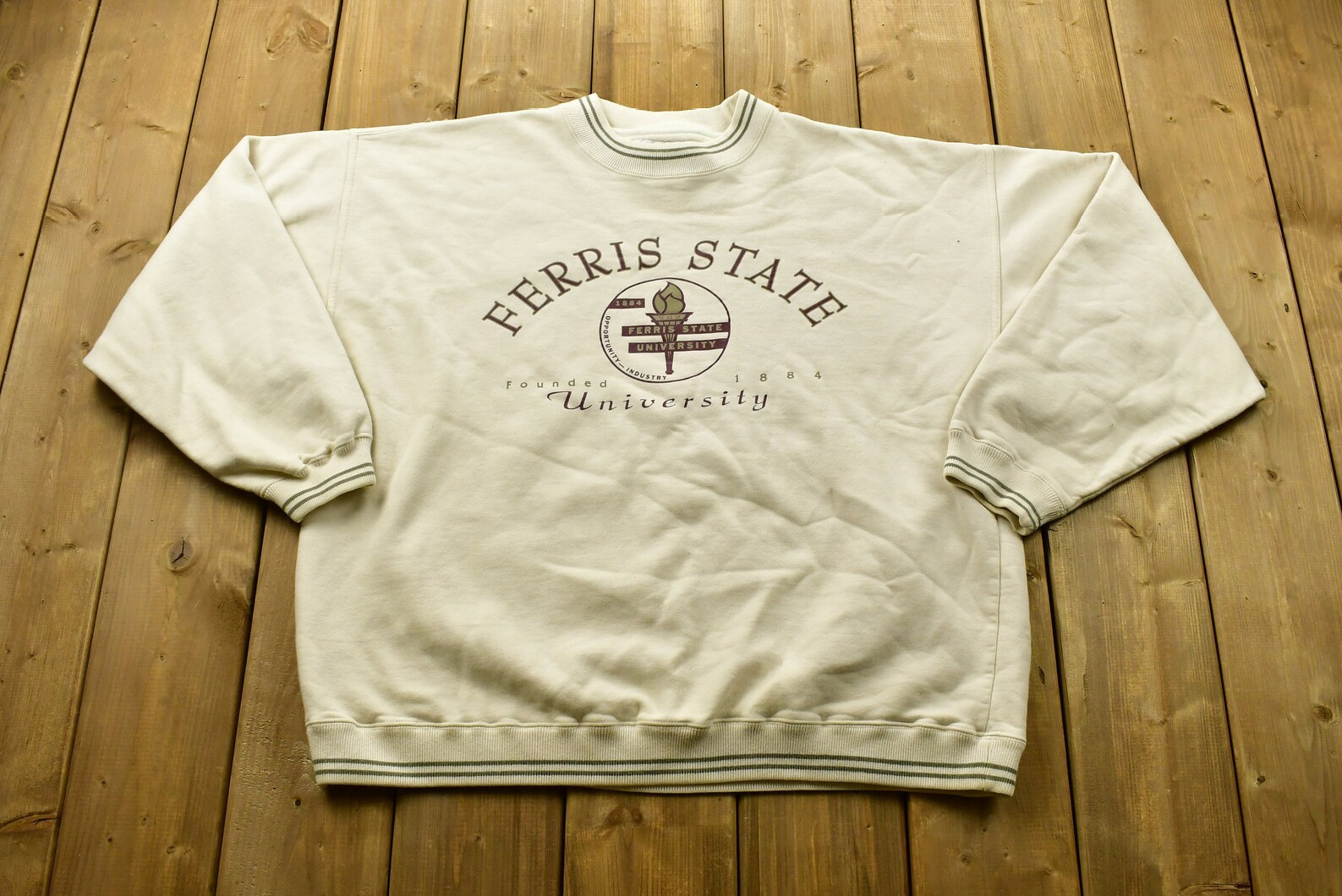 Vintage 1990s University Of Ferris State Collegiate Crewneck  Americana  Sportswear  Athleisure