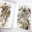 Chinese Painting Book,Xieyi Pine Tree Drawing art book for adults 37cm*26cm