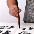 Chinese Calligraphy Brush Set 6pcs Caligrafia Calligraphy Brush for Calligraphy Writing Painting Tinta China Chinese Brush Pen