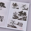 Traditional painting method of landscape drawing art book for Copy practice steps demonstration
