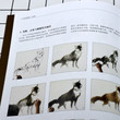 Traditional Chinese painting Line Drawing Gong Bi Animal Cattle tiger and horse Art Book