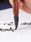 3pcs Chinese Calligraphy Brush Pen Bear Hair S/M/L Regular Script Hopper-shaped Writing Brush for Beginner Painting Practice