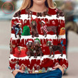 Boykin Spaniel Dog Ugly Christmas Sweater