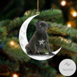 Black Pug Sit On The Moon Ornament