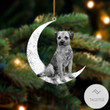 Border Terrier Sit On The Moon Ornament