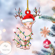 Sphynx Cat And Flash Light Ornament