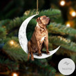 Dogue de Bordeaux Sit On The Moon Ornament