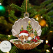 Corgi Sleeping Pearl In Christmas Ornament