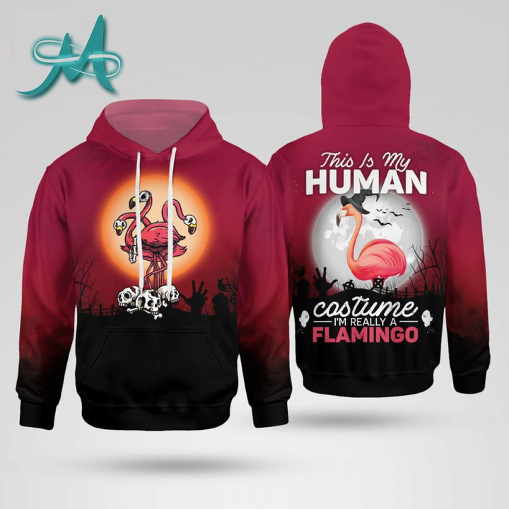 This is my human costume im a Flamingo Pullover Hoodie