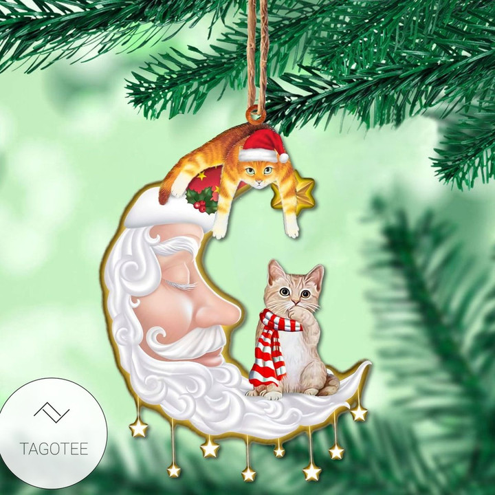 Santa Claus &amp;amp; Cat Ornament
