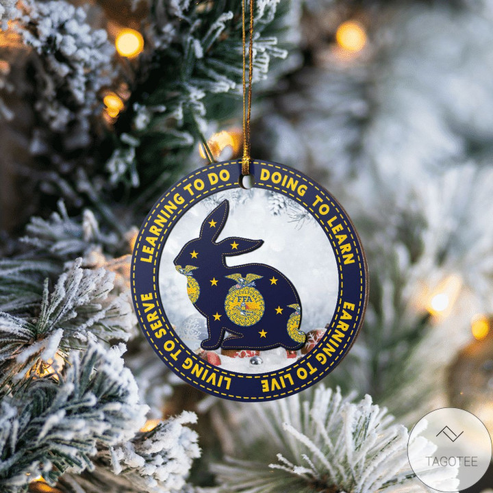 Rabbit Learning To Do Doing To Learn Ffa Logo Ornament