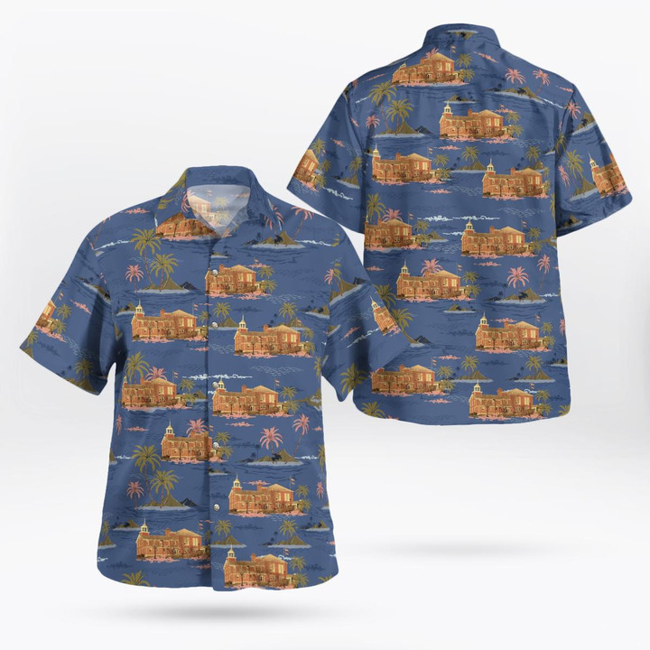 Hawaiian Shirt DLTT3108BG02