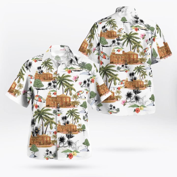 Hawaiian Shirt DLTT3108BG03