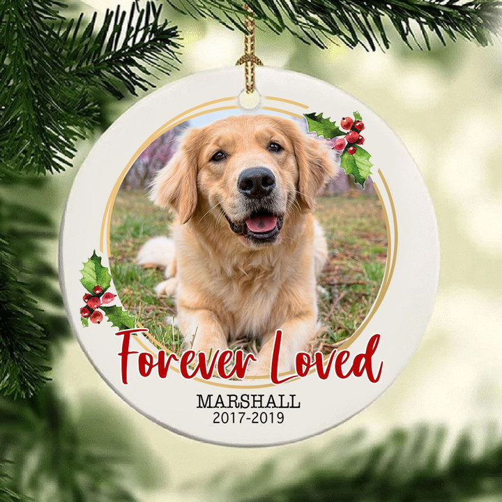 Dog Memorial Christmas Ornament Personalized Dog Memorial Gift Dog Remembrance Gift Sympathy Gift For Loss Of Dog