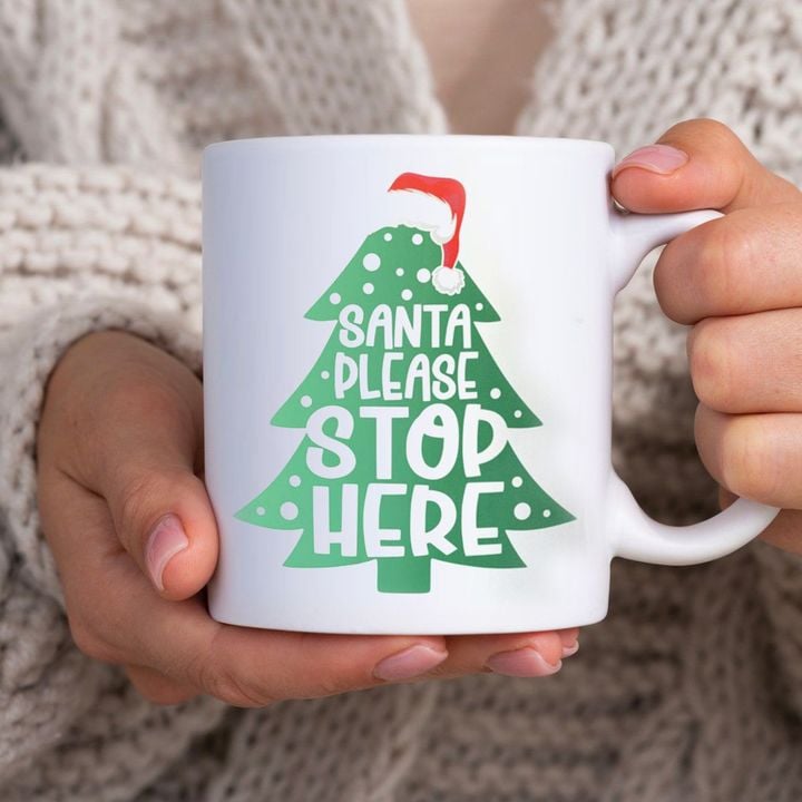 Santa Please Stop Here Mug Funny Christmas Coffee Mugs Christmas Presents For Best Friends
