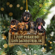 I Just Freaking Love Dachshunds Ok Ornament Dog Lovers Funny Christmas Tree Decorations