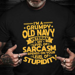 A Grumpy Old Navy Veteran Shirt Stupidity Sarcastic T-Shirt Vets Day Gift For Navy Veterans