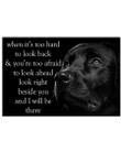Labrador Retriever When It's Too Hard To Look Back & You're Too Afraid Motivational Poster Decoration