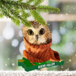 Owl Rockefeller Ornament Rockefeller Christmas Tree Lighting 2020 Gift For Owl Lovers