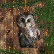 Rockefeller Owl Ornament Owl In Rockefeller Center Christmas Tree Ornament Decoration 2020