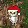 Owl Ornament Funny Owl Wear Santa Hat Unique Christmas Tree Decor