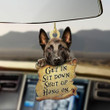 Malinois Get In Sit Down Shut Up Hang On Car Hanging Ornament Cute Rear View Mirror Accessories